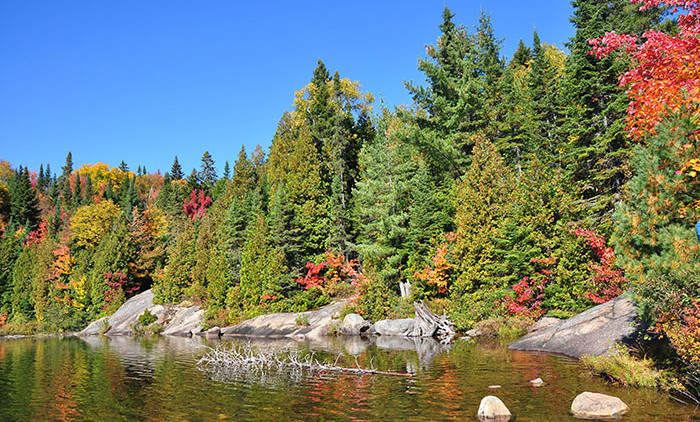 Parc de la Mauricie 3