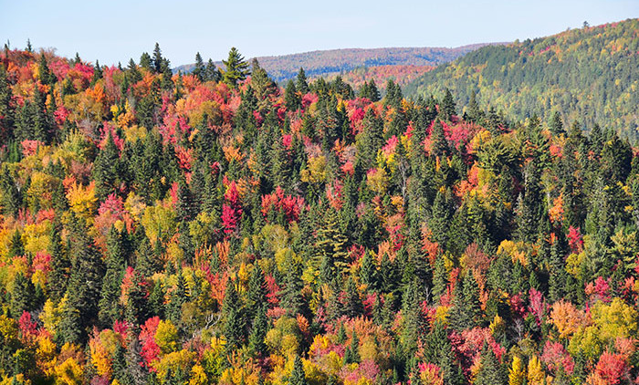 Parc de la Mauricie 2