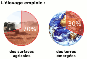 Visuel L214 : élevage