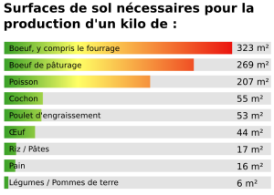 Visuel L214: surfaces au sol