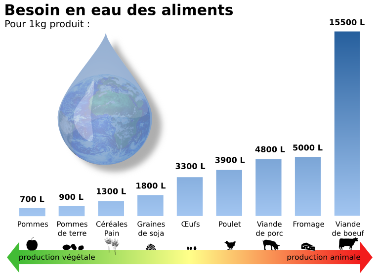 Visuel L214: besoin en eau