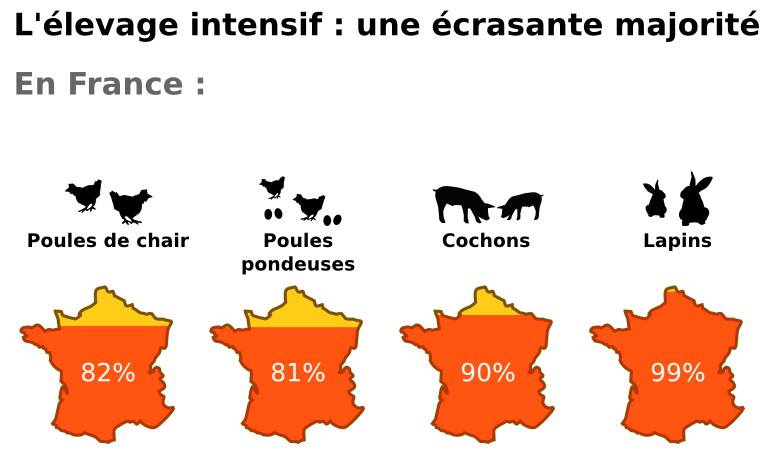 Visuel L214 : élevage intensif