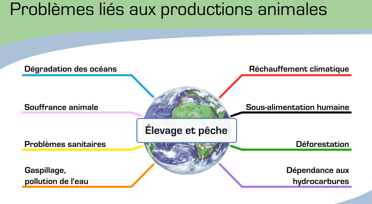 Visuel L214: élevage et pêche