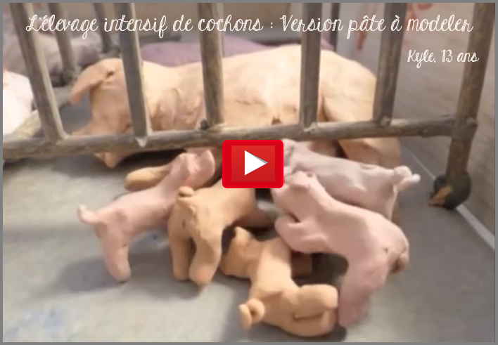 Elevage intensif Video
