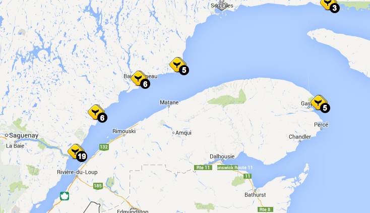 Route des baleines - Tadoussac