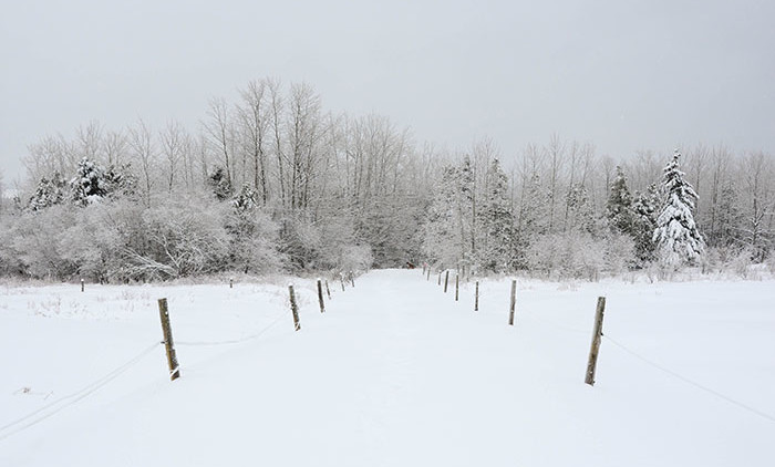 Equitation Québec: Auberge Andromede 6