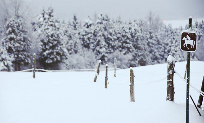 Equitation Québec: Auberge Andromede 4