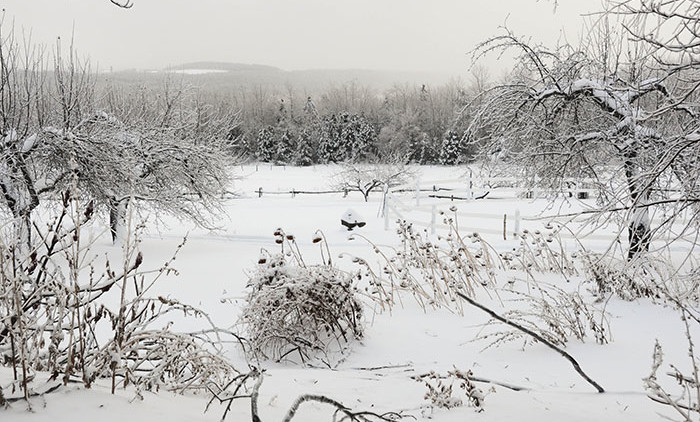 Equitation Québec: Auberge Andromede 5