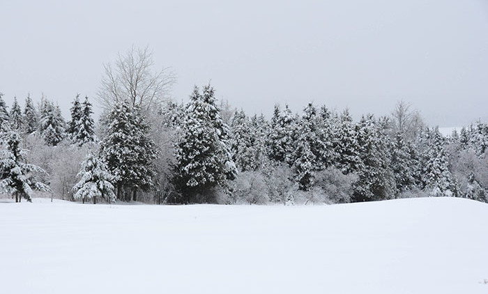 Equitation Québec: Auberge Andromede 10