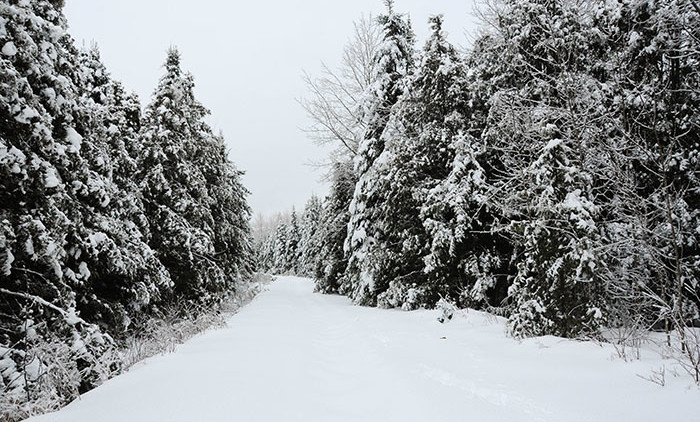 Equitation Québec: Auberge Andromede 7