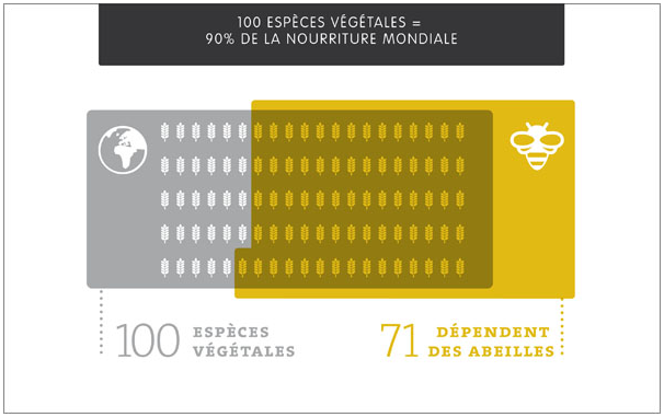 Agriculture durable: préserver les abeilles
