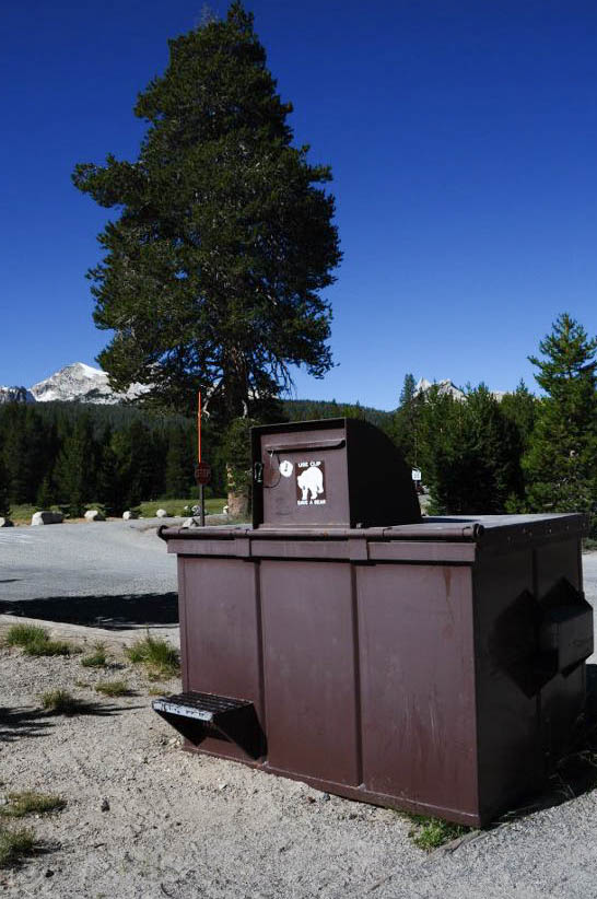 Road Trip USA: Yosemite