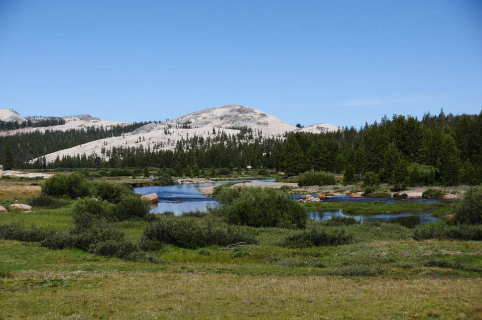 Road Trip USA: Yosemite