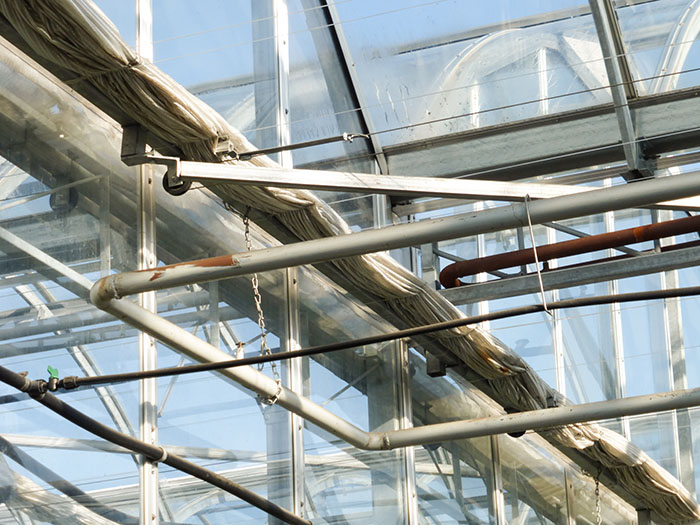 Agriculture urbaine: Lufa Farms