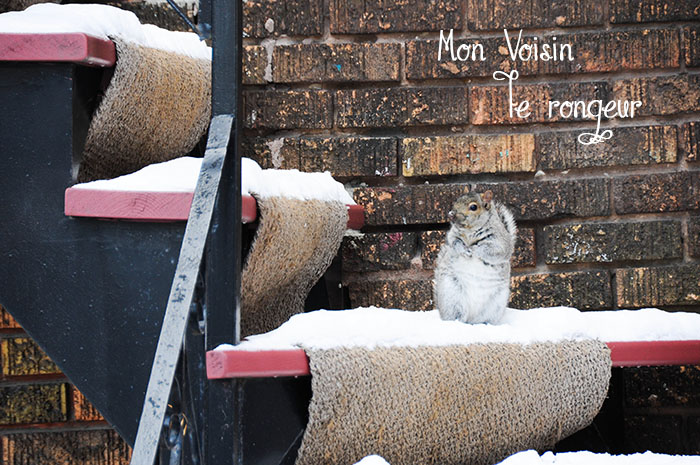 Hiver Montreal : Petite Italie