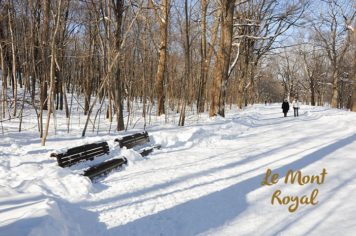 Hiver Montreal : Mont Royal