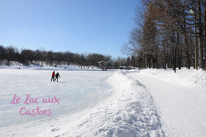 Hiver Montreal : Mont Royal
