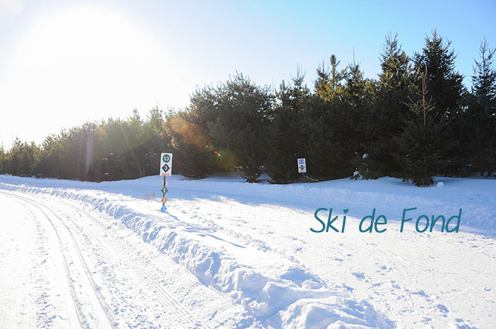 Hiver Montreal : Ski de fond