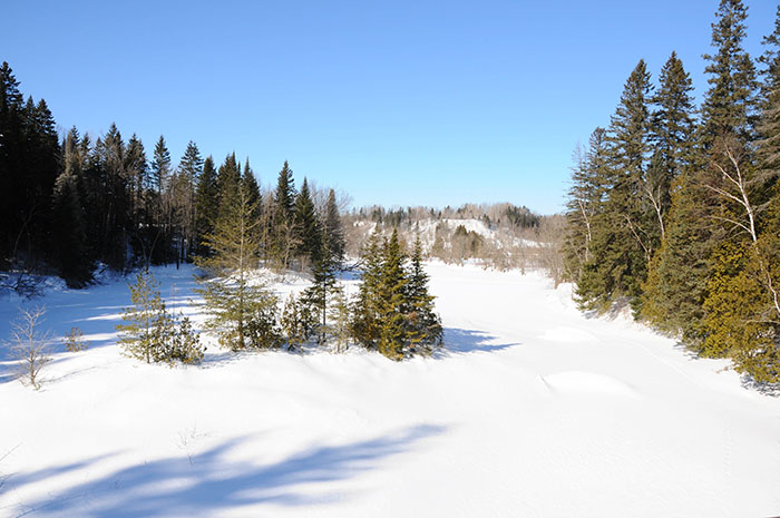 Hiver Montreal : Raquettes