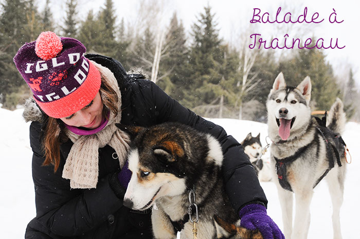 Hiver Montreal : Traineau