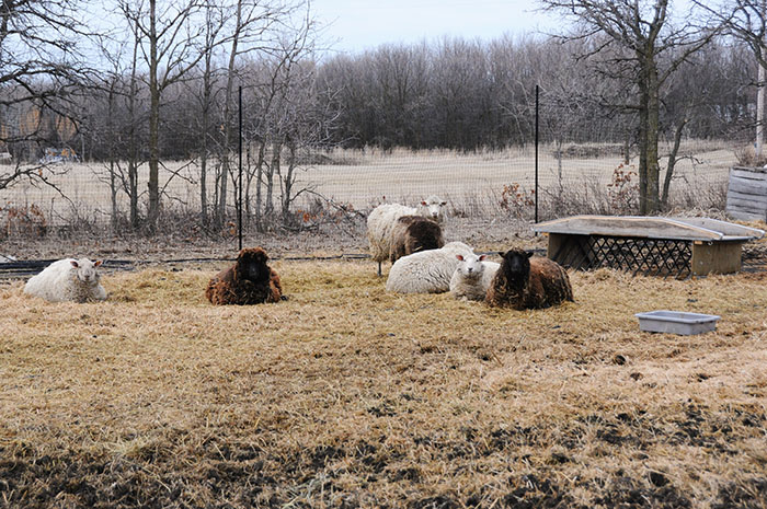 Ferme bio