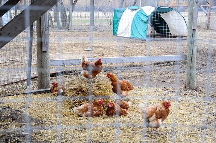 Ferme bio