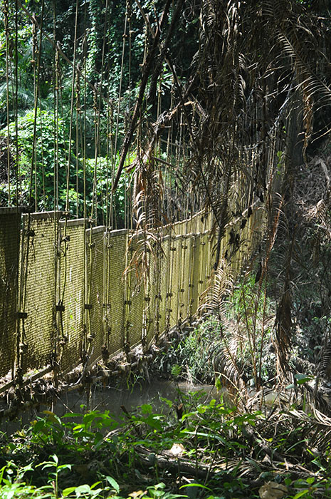 Budget Tour du monde: Taman Negara