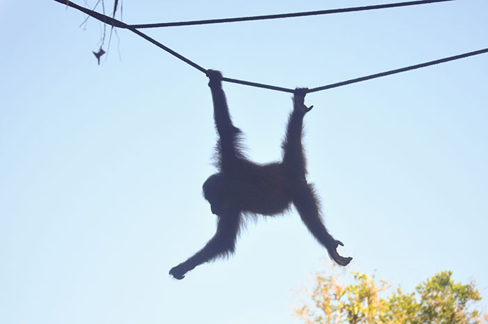 Sortir de sa zone de confort: living on the edge