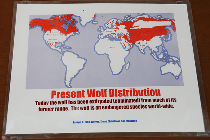 Loup Gris : distribution après Loup Gris : distribution après