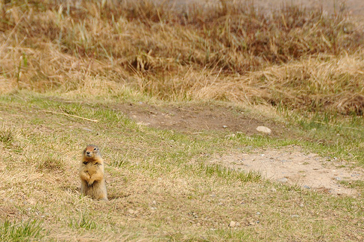 Les rocheuses : Banff