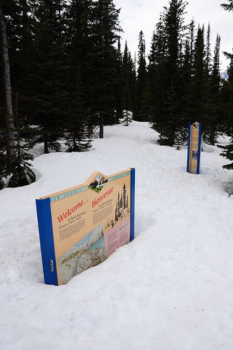 Les rocheuses : Route des glaciers