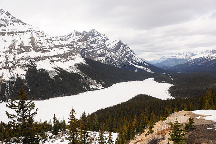 Les rocheuses : Route des glaciers