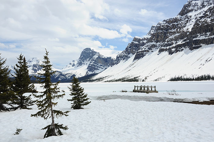 Les rocheuses : Route des glaciers