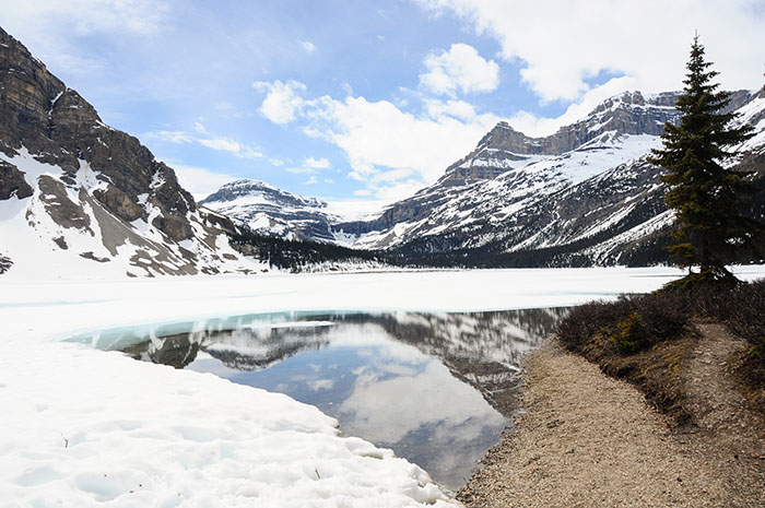 Les rocheuses : Route des glaciers