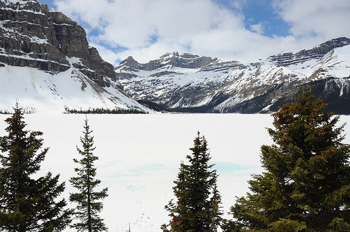 Les rocheuses : Route des glaciers