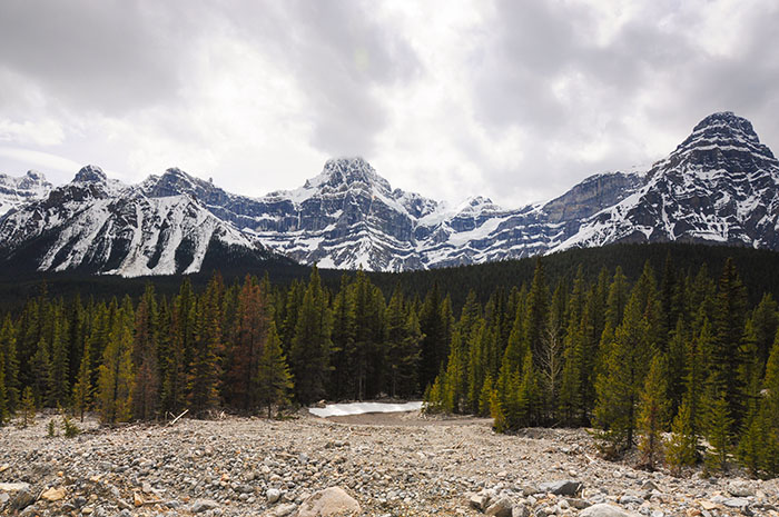 Les rocheuses : Route des glaciers