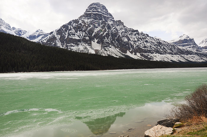 Les rocheuses : Route des glaciers