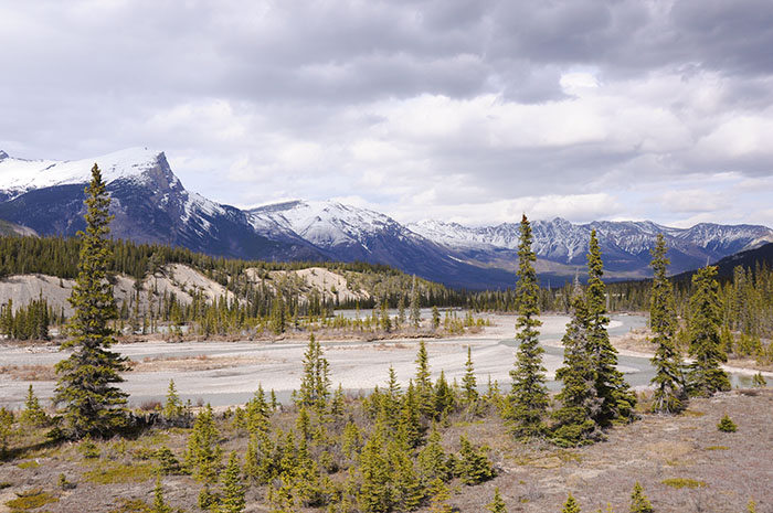 Les rocheuses : Route des glaciers