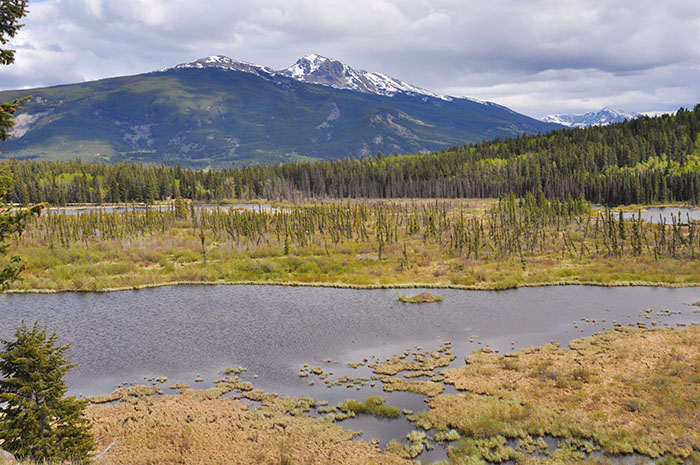 Les rocheuses : Jasper