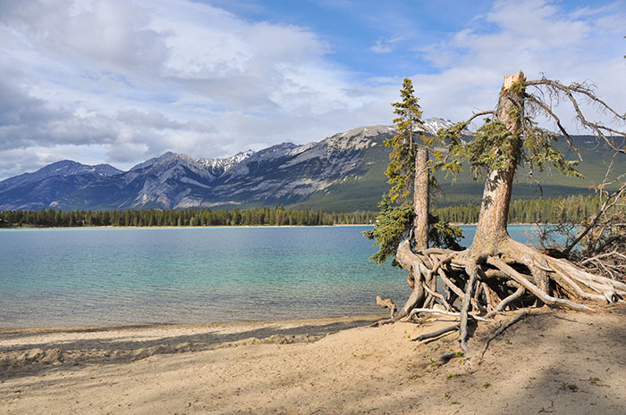 Les rocheuses : Jasper