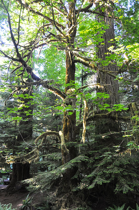 20140531-victoria-004