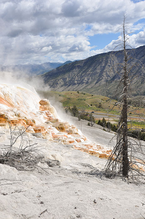 Yellowstone National Park : Mammoth Hot Springs