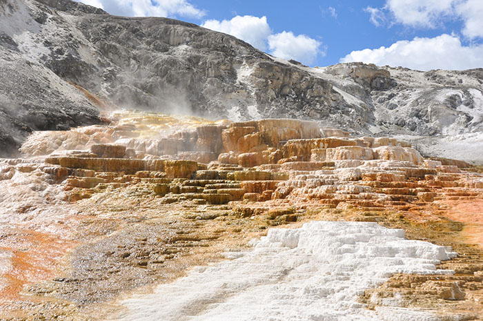 Yellowstone National Park : Mammoth Hot Springs