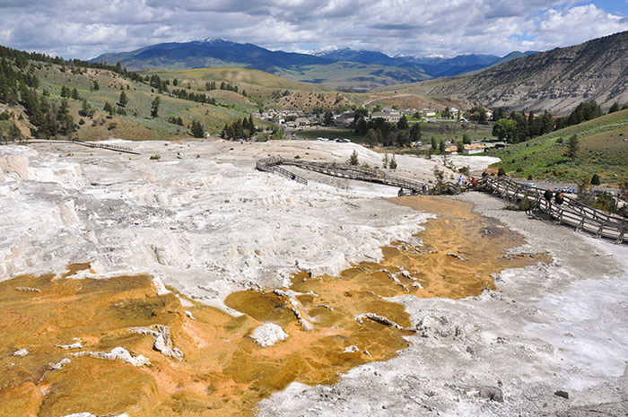 Yellowstone National Park : Mammoth Hot Springs