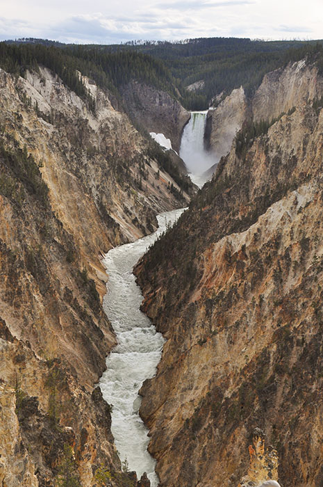 Yellowstone National Park : Canyon