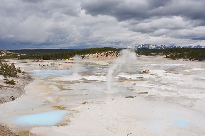 Yellowstone National park : Norris Geyser