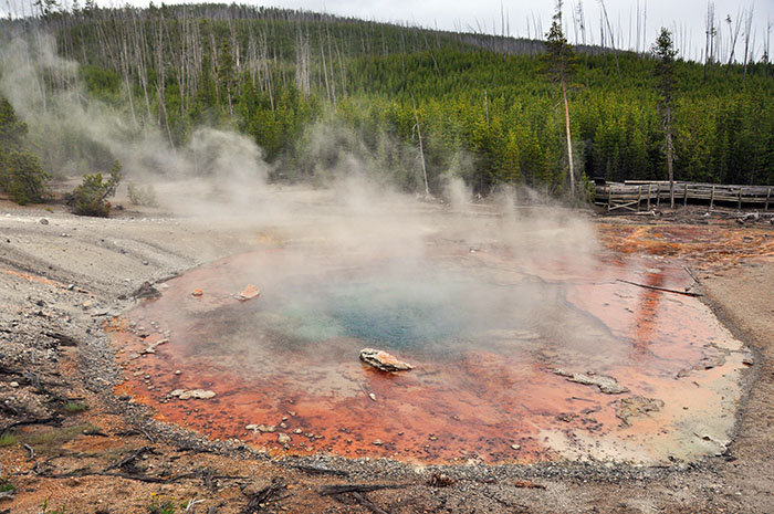 Yellowstone National Park : Norris Geyser