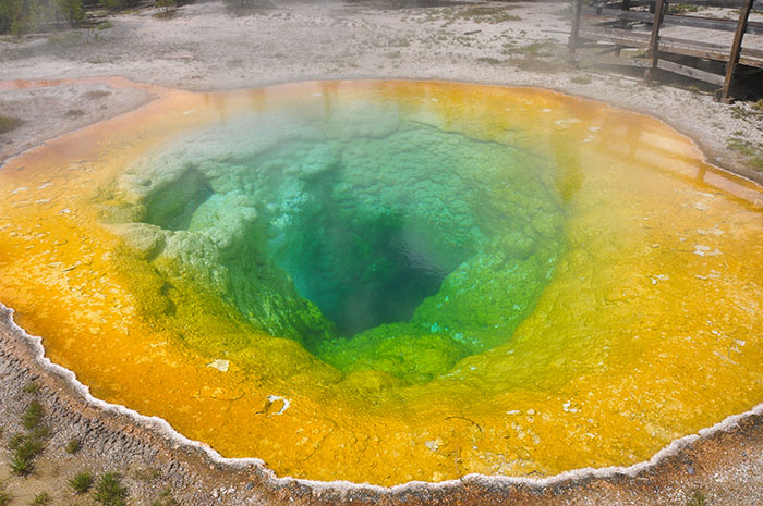 Yellowstone National Park : Morning Glory Spring
