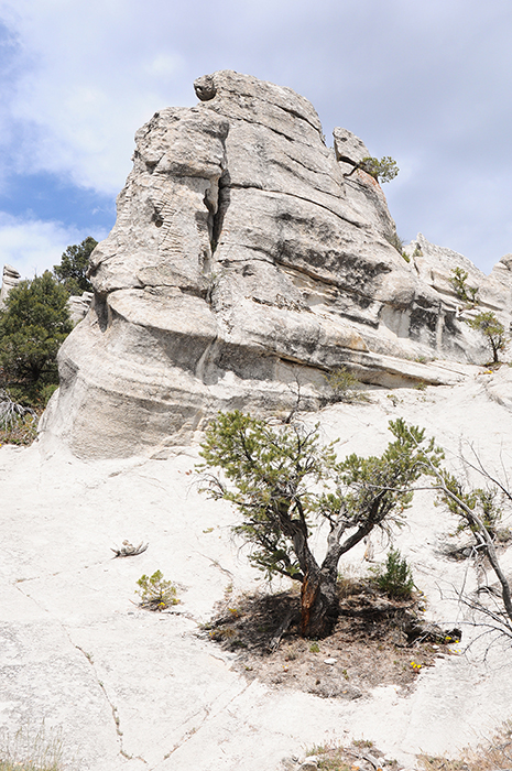 Road Trip en Voiture Canada / US : City of Rocks