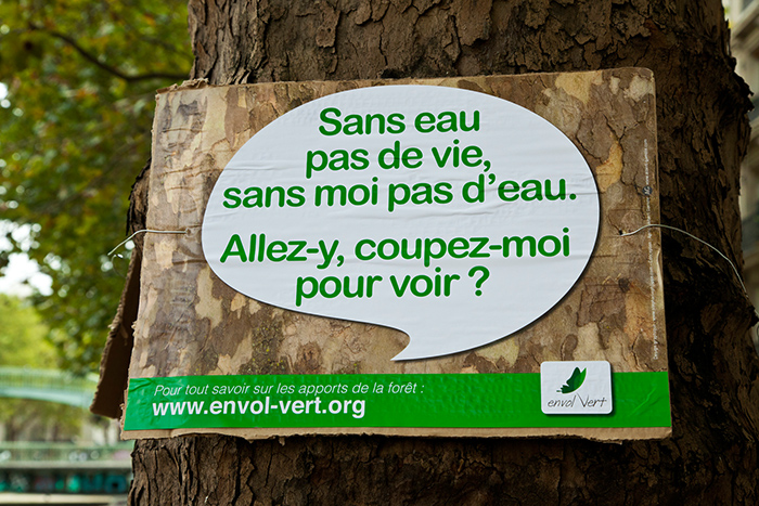 Envol Vert ©L.Durant